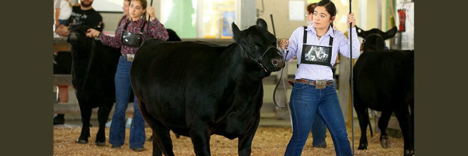 New York’s Beef Farmers Celebrated at The Great New York State Fair’s Annual Beef Day, on August 29